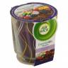 AirWick svíčka Essent.Oils 105g Les.plod - Svíčky, svícny a lampové oleje Svíčky, svícny a lampové oleje